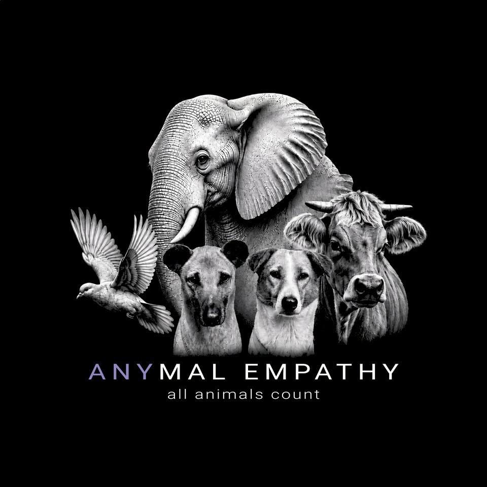 Anymal Empathy